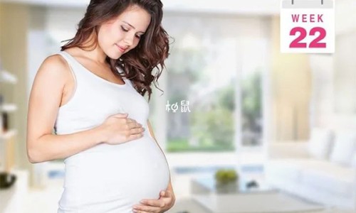 拉布拉多几个月能长大-拉布拉多几个月嘴变宽网—知名的拉布拉多几个月翻肠子网站,分享拉布拉多几个月翻肠子知识